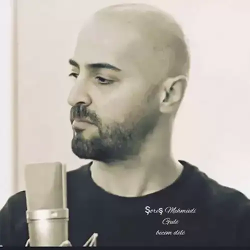 گولی و به جیم دیلی